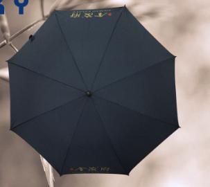 Umbrella-Large