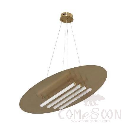 Small Pendant Light, Titanium Stainless Steel, Diameter 800Mm