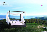 CANOPY BED