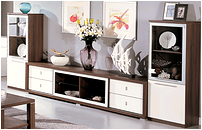 TV cabinet combination