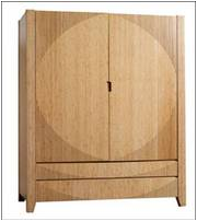 Wardrobe/cabinet