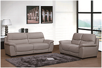 Modern leather sofa