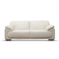 leisure couch
