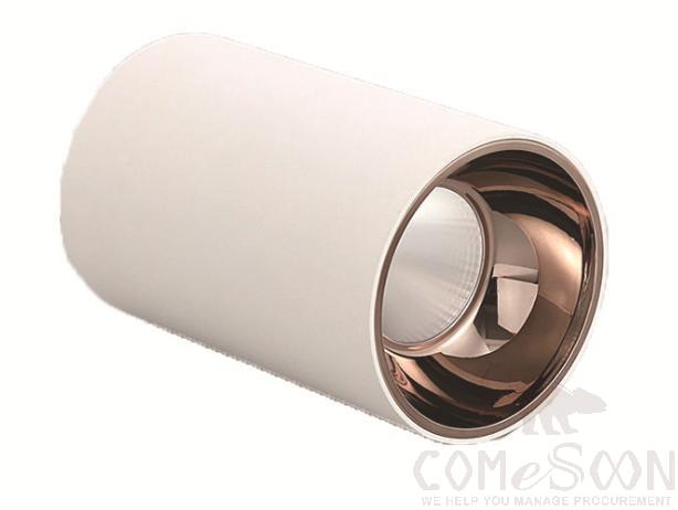 White shell downlight-rose gold cup 4000k-30w