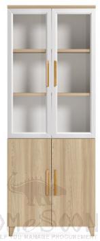 Filing Cabinet-W800*D400*H2000mm
