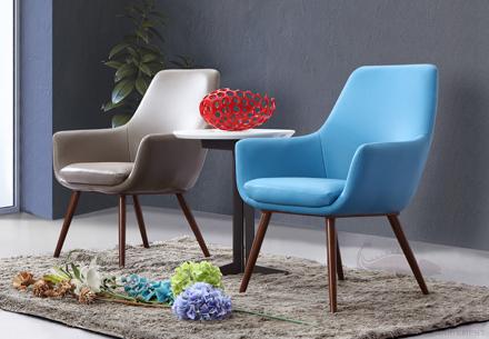 Leisure Chair D630*550*810Hmm