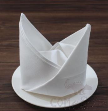 Cloth Napkins-55*55 CM