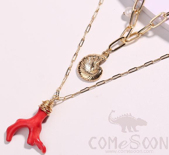Necklace / Jewelry NZ410