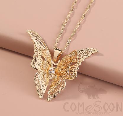 Necklace / Jewelry NZ700