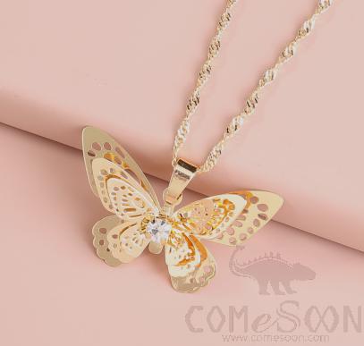 Necklace / Jewelry NZ701