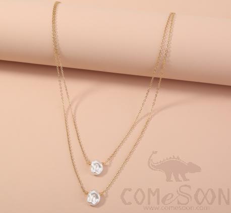 Necklace / Jewelry NZ838