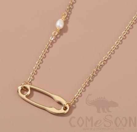 Necklace / Jewelry NZ737