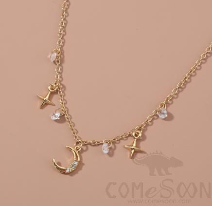 Necklace / Jewelry NZ745
