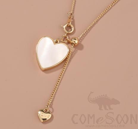 Necklace / Jewelry NZ811