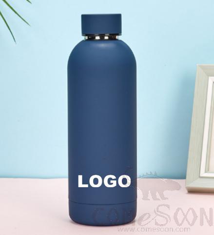 Flask S/S Bottle 500ml Blue