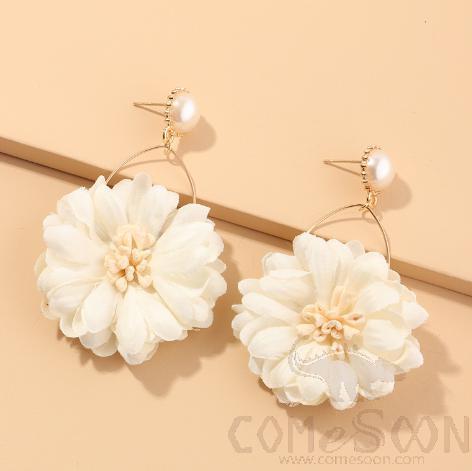 N series- Earring / Dangler / Eardrop