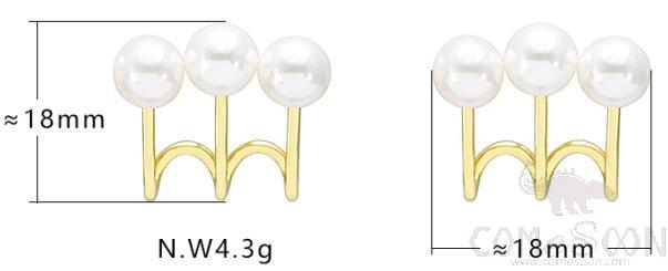 Earring / Dangler / Eardrop / Jewelry 
XYE103844