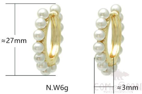 Earring / Dangler / Eardrop / Jewelry 
XYE104067