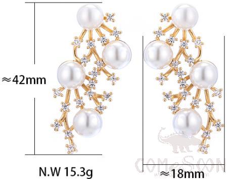 Earring / Dangler / Eardrop / Jewelry 
XYE102454