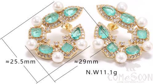 Earring / Dangler / Eardrop / Jewelry 
XYE103000