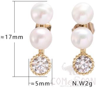 Earring / Dangler / Eardrop / Jewelry 
XYE103100