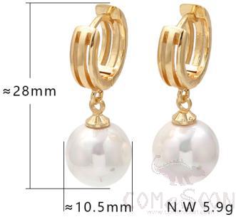 Earring / Dangler / Eardrop / Jewelry 
XYE103153