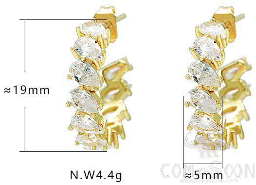 Earring / Dangler / Eardrop / Jewelry
XYE103837