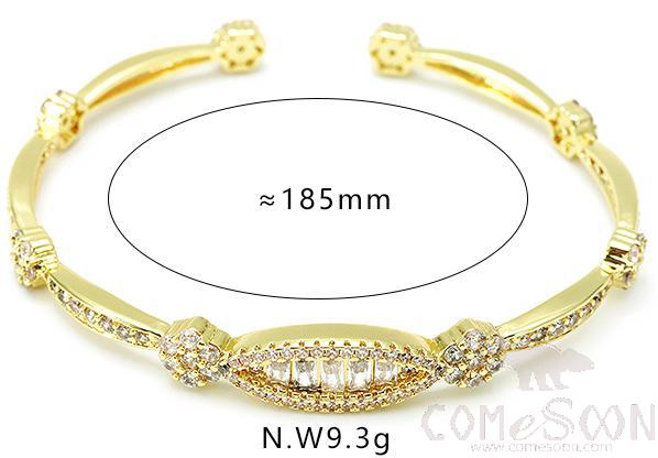 Bracelet / Bangle / Jewelry 
XYH100810-2