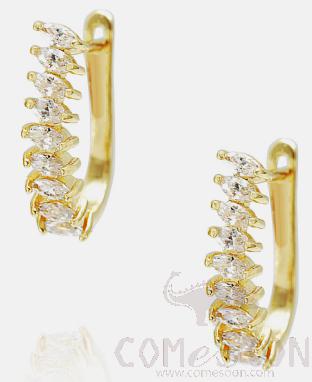 Earring / Dangler / Eardrop / Jewelry
XYE101418