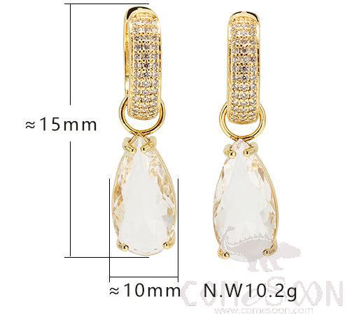 Earring / Dangler / Eardrop / Jewelry
XYE102988
