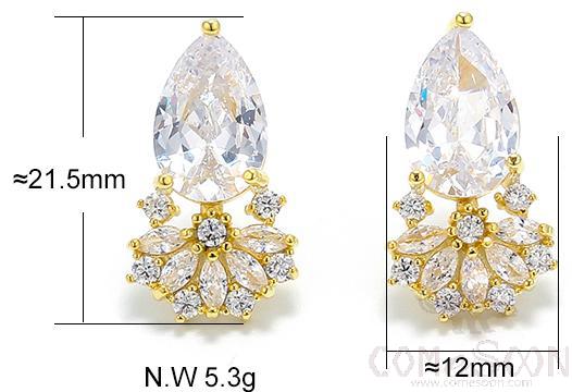 Earring / Dangler / Eardrop / Jewelry
XYE100330