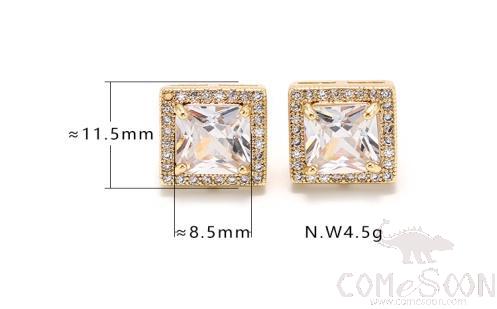 Earring / Dangler / Eardrop / Jewelry
XYS100746