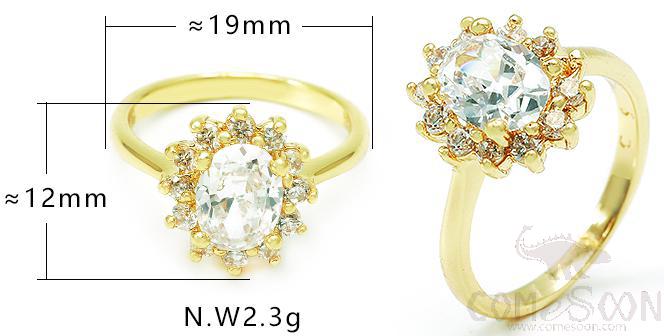 Ring
XYR100001