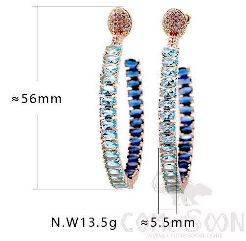 Earring / Dangler / Eardrop / Jewelry
XYE102469