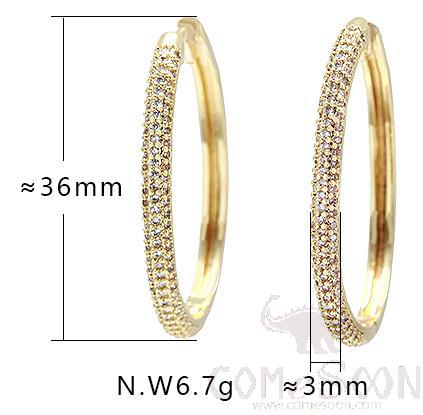 Earring / Dangler / Eardrop / Jewelry
XYE5273