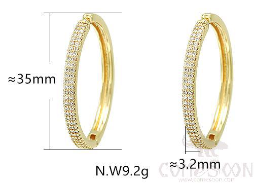 Earring / Dangler / Eardrop / Jewelry
XYE104053