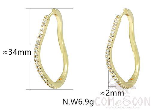 Earring / Dangler / Eardrop / Jewelry
XYE104055