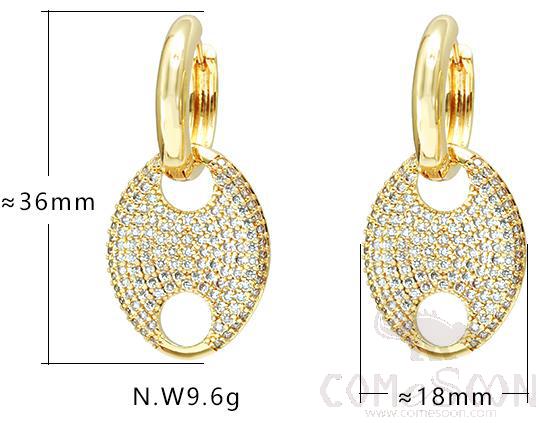 Earring / Dangler / Eardrop / Jewelry
XYE103867