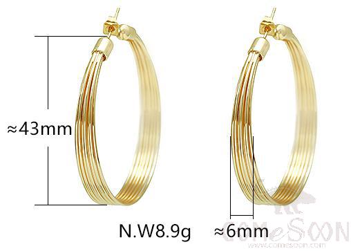 Earring / Dangler / Eardrop / Jewelry
A0001