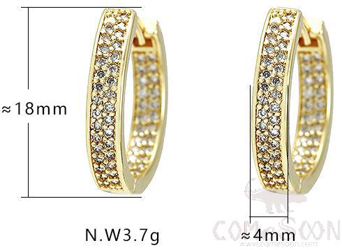 Earring / Dangler / Eardrop / Jewelry
XYE101747