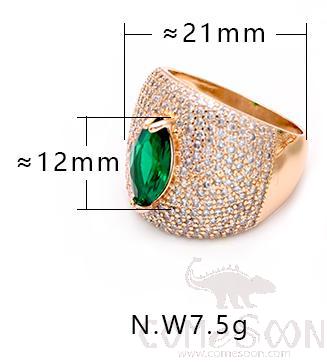 Ring
XYS100483