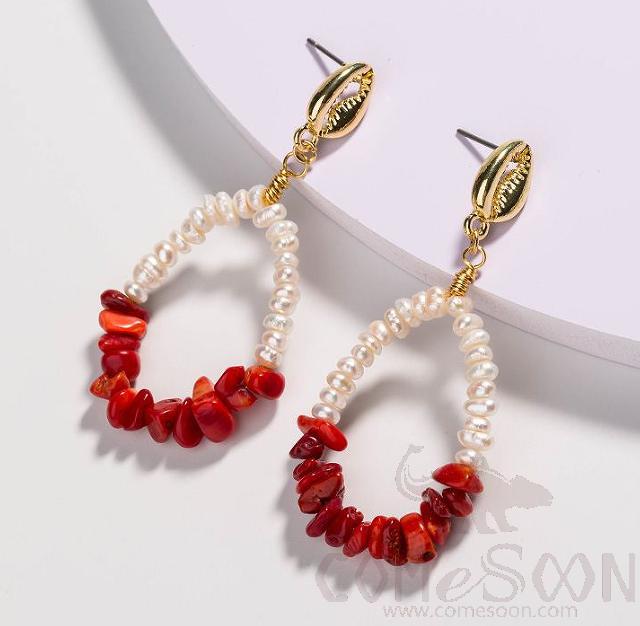 Earring / Dangler / Eardrop / Jewelry  NE294