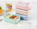 Maixiang Small Lunch Box,wheat,17.5*13*7cm
