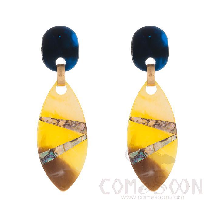 Earring / Dangler / Eardrop / Jewelry        NE530