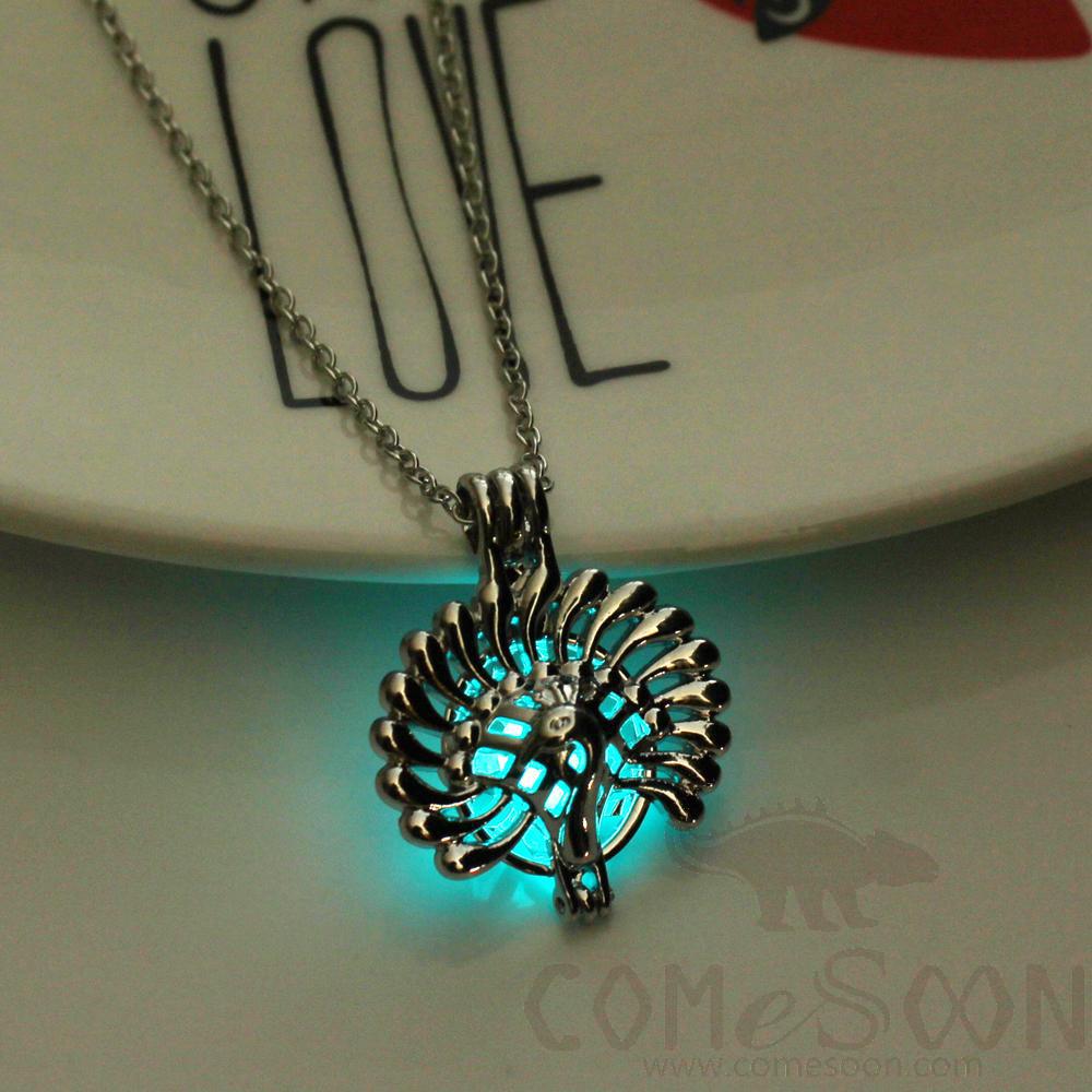 Necklace / Jewelry           NY561