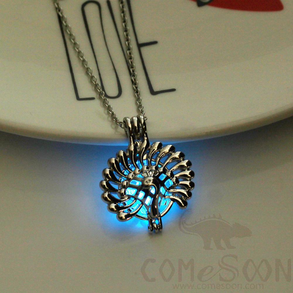 Necklace / Jewelry           NY562