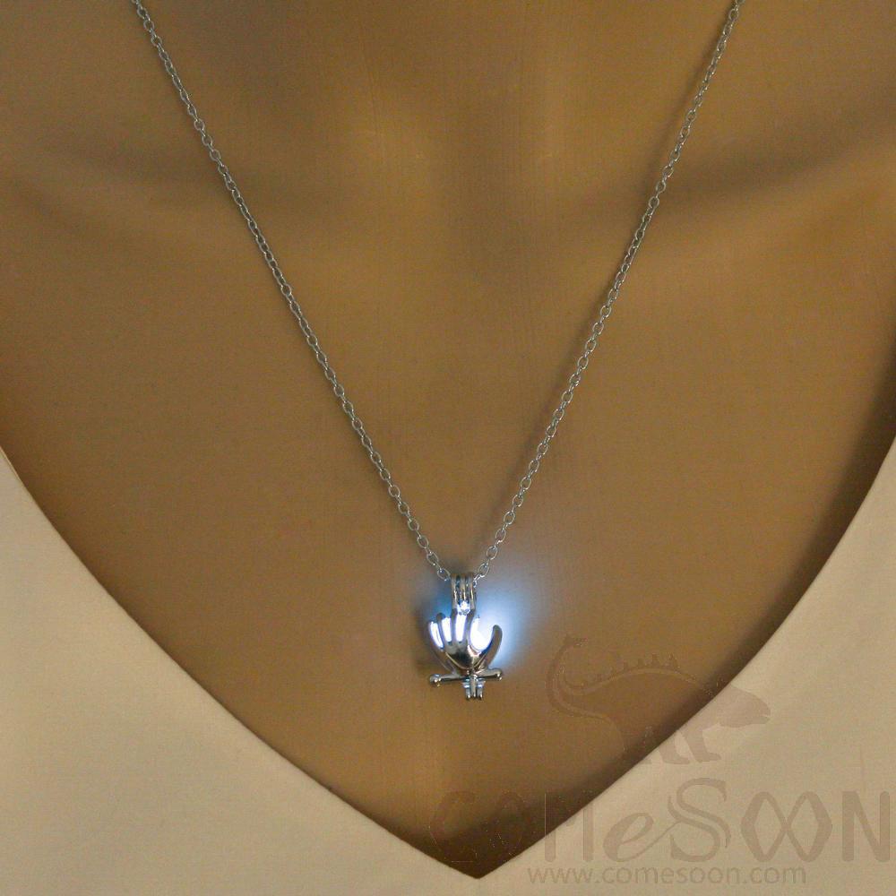 Necklace / Jewelry           NY652