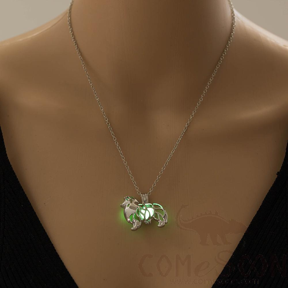 Necklace / Jewelry           NY744