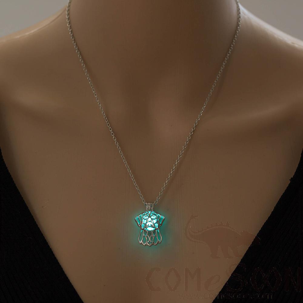 Necklace / Jewelry           NY754