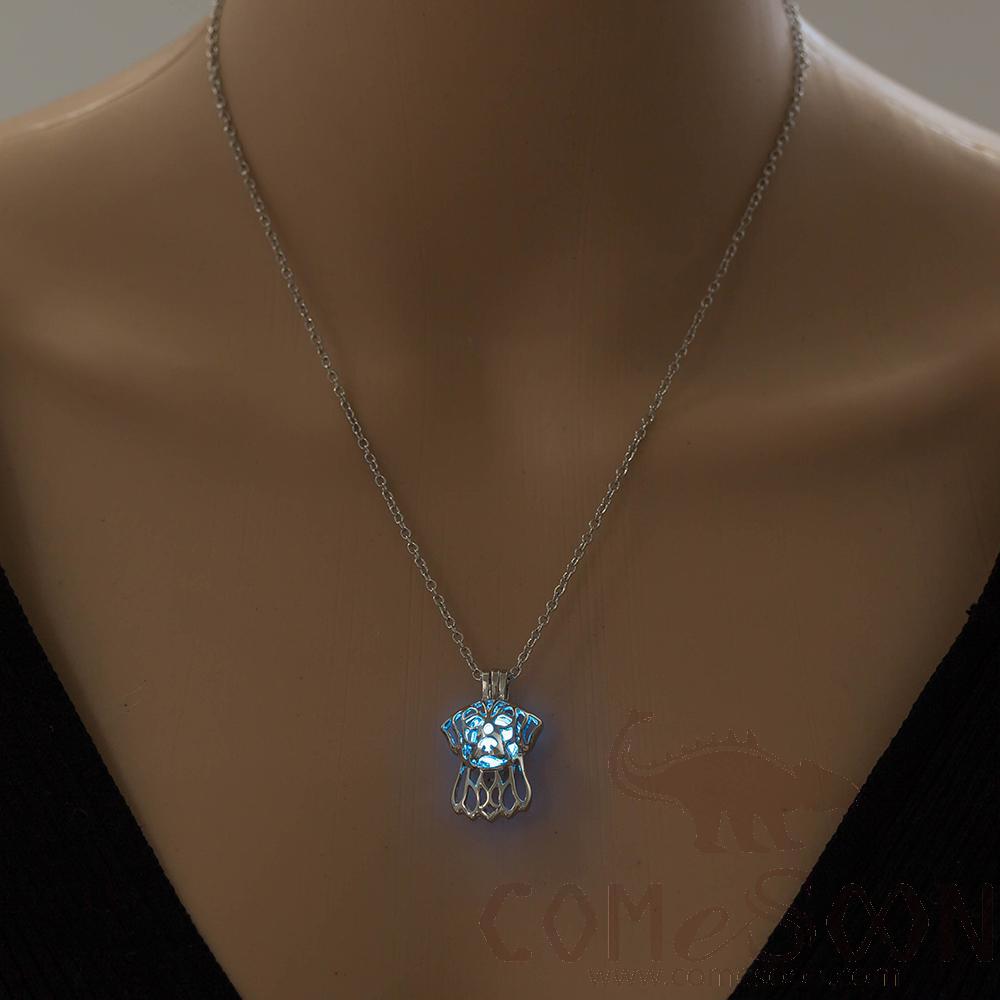 Necklace / Jewelry           NY755